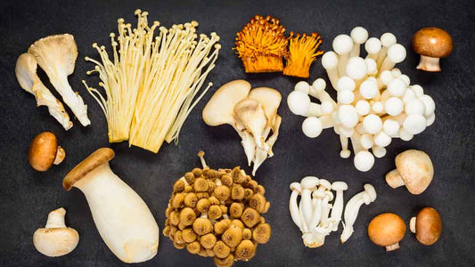 Functional Mushrooms: What Are They and How Do They Work
